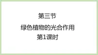 初中生物济南版七年级上册第三节 绿色植物的光合作用图片ppt课件