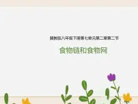 冀教版八年级下册第二节 食物链和食物网优质课课件ppt