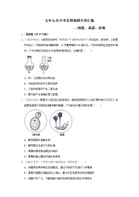 五年山东中考生物真题分类汇编---细菌、真菌、病毒