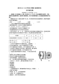 广西南宁市三美学校2022-2023学年七年级上学期第三阶段素质评价生物试题(含答案)