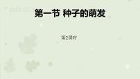 人教版 (新课标)七年级上册第一节 种子的萌发教学ppt课件