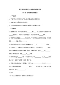 初中生物第二节 绿色植物的呼吸作用学案及答案