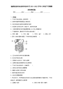 福建省泉州市泉州科技中学2021-2022学年七年级下学期期末生物试题(含答案)