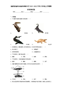 福建省福州市福州琅岐中学2021-2022学年八年级上学期期末生物试题(含答案)