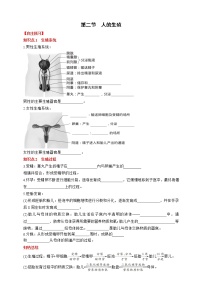 人教版 (新课标)七年级下册第二节 人的生殖同步达标检测题