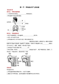 人教版 (新课标)七年级下册第一节 呼吸道对空气的处理巩固练习