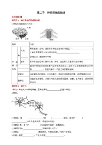 人教版 (新课标)七年级下册第二节 神经系统的组成课时练习