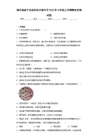 湖北省咸宁市崇阳县大集中学2022年七年级上学期期末生物试题-(含答案)