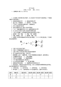 人教版七年级生物下册期中测试题含答案