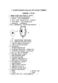 广东省茂名市高州市2020-2021学年七年级下学期3月联考生物试卷