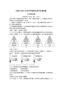 广西北海市2020-2021学年七年级下学期期末教学质量检测生物试卷