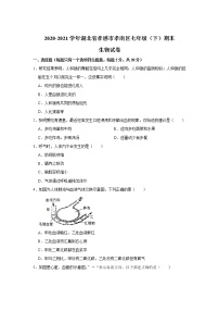 湖北省孝感市孝南区2020-2021学年七年级下学期期末考试生物试卷（无答案）