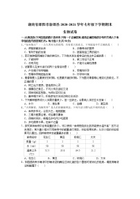 湖南省邵阳市新邵县2020-2021学年七年级下学期期末生物试卷