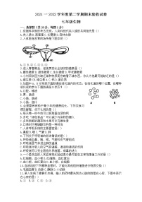 吉林省四平市伊通满族自治县2021-2022学年七年级下学期期末考试生物试卷