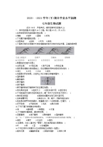 宁夏固原市原州区2020-2021学年七年级下学期期末考试生物试卷