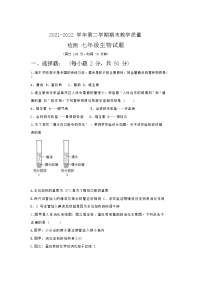 山东省德州市夏津县2021-2022学年七年级下学期期末考试生物试卷