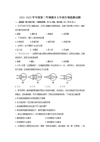 山东省烟台市蓬莱区（五四学制）2021-2022学年七年级下学期期末考试生物试卷