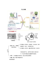 备战2023生物新中考二轮复习重难突破（河北专用）重难点06 植物的光合作用及相关探究实验