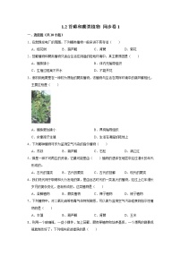 鲁科版 (五四制)六年级下册第二节 	苔藓和蕨类植物精品当堂检测题