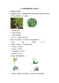 初中生物鲁科版 (五四制)六年级下册第二节 	苔藓和蕨类植物精品当堂检测题