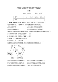 人教版七年级生物下学期开学测试练习 B卷