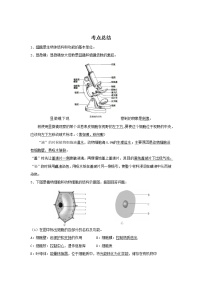 备战2023生物新中考二轮复习考点精讲精练（广东专用）专题02细胞是生命活动的基本单位