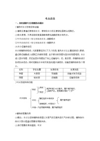 备战2023生物新中考二轮复习考点精讲精练（广东专用）专题06 绿色植物与生物圈的水循环