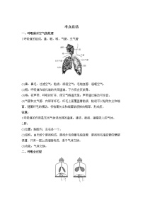 备战2023生物新中考二轮复习考点精讲精练（广东专用）专题11 人体的呼吸