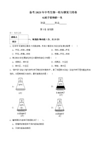 初中生物中考复习 【人教版】2023届中考一轮复习专用训练卷—专题6 被子植物的一生（ 含解析）