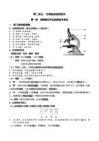 初中生物中考复习 02+细胞是生命活动的基本单位-2022年中考生物一轮复习核心考点必背知识清单