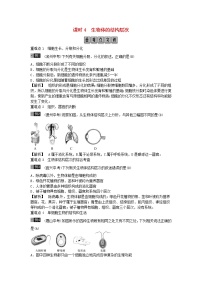 初中生物中考复习 2019年中考生物总复习主题二生物体的结构层次课时4生物体的结构层次