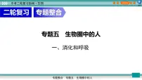 初中生物中考复习 5 1消化和吸收(上课用课件)-【过专题】2022年中考生物二轮精准高效复习
