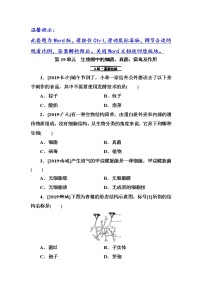 初中生物中考复习 第19单元　生物圈中的细菌、真菌、病毒及作用