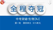 初中生物中考复习 第15单元　人体对外界环境的感知课件PPT