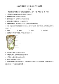 初中生物中考复习 精品解析：湖南省衡阳市2021年中考生物试题（原卷版）