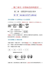 初中生物中考复习 考点03++细胞怎样构成生物体-【考点聚焦】2022年中考生物知识手册速查（人教版）