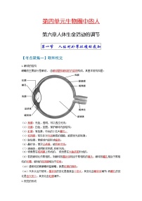 初中生物中考复习 考点06人体生命活动的调节-【考点聚焦】2022年中考生物知识手册速查（人教版)