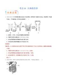 初中生物中考复习 考点11 人体的营养-备战2022年中考生物一轮复习考点微专题