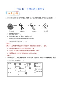 初中生物中考复习 考点23 生物的遗传和变异-备战2022年中考生物一轮复习考点微专题