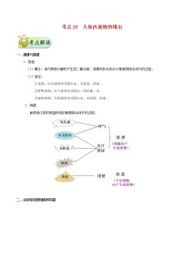 初中生物中考复习 考点25 人体内废物的排出-备战2021年中考生物考点一遍过