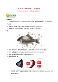 初中生物中考复习 考点31 脊椎动物——变温动物-备战2021年中考生物考点一遍过