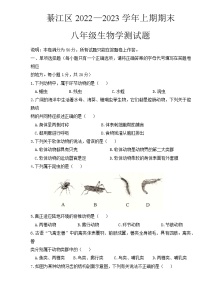 重庆市綦江区2022-2023学年八年级上学期期末考试生物试题(含答案)