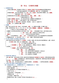 初中生物中考复习 七年级上册-2022年中考生物复习必背考点分册梳理（人教版）（答案版）