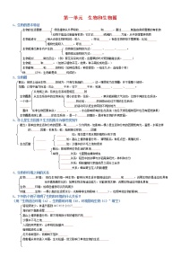 初中生物中考复习 七年级上册-2022年中考生物复习必背考点分册梳理（人教版）（填空版）