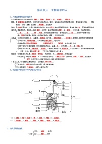 初中生物中考复习 七年级下册-2022年中考生物复习必背考点分册梳理（人教版）（答案版）