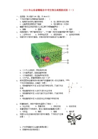 初中生物中考复习 山东省聊城市2019年中考生物全真模拟试卷（一）（含解析）