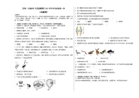 初中生物中考复习 生物-（安徽卷）【试题猜想】2021年中考考前最后一卷（考试版）