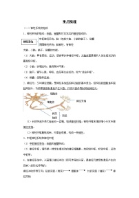 备战2023生物新中考二轮复习重难突破（浙江专用）专题06 人体生命活动的调节