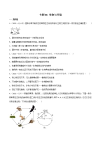 初中生物中考复习 专题01 生物与环境-2022年中考生物真题分项汇编 （全国通用）（原卷版）