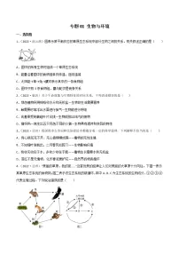 初中生物中考复习 专题01 生物与环境-2022年中考生物真题分项汇编 (全国通用)(原卷版)